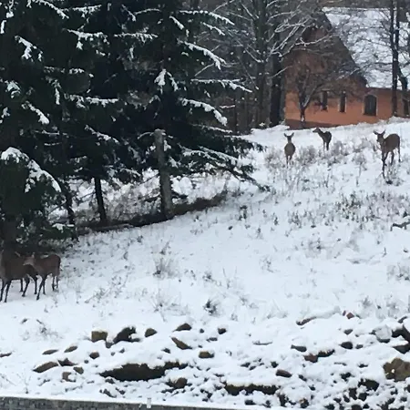 Oda ve Kahvaltı Dask *